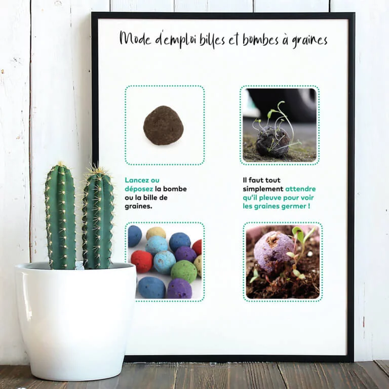 3 bombes à graines dans pochon en toile bisonne – BOMBES POCHON – Image 7