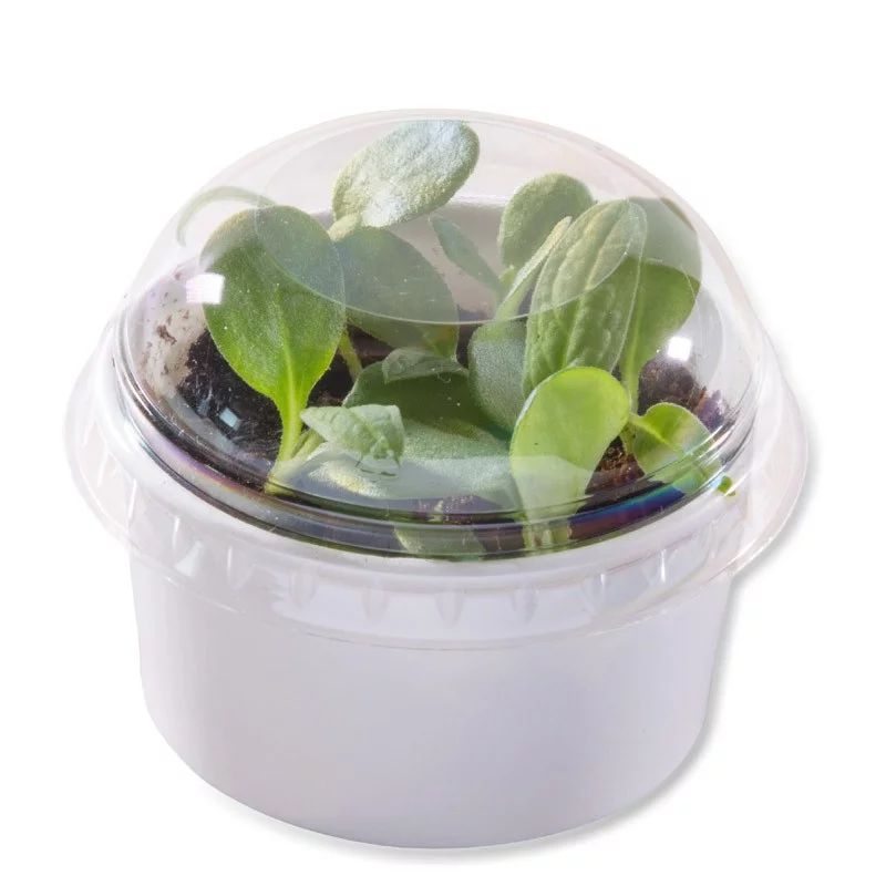 3 kits de plantation dans pots avec mini-serres – Image 4