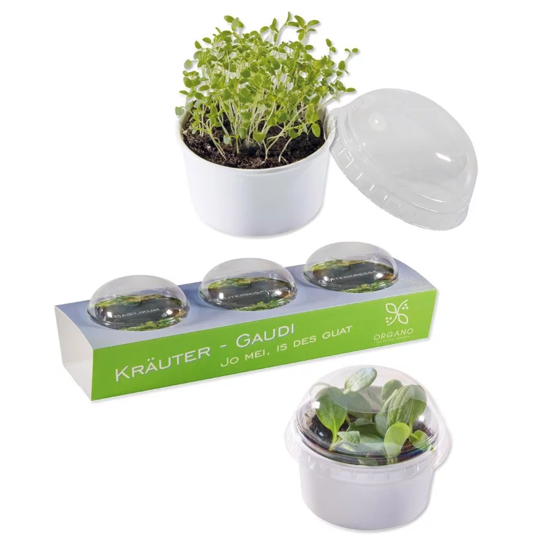 3 kits de plantation dans pots avec mini-serres – Image 2