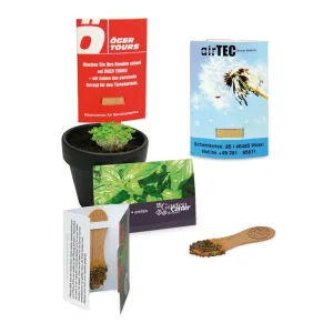 Bâtonnet de graines en bois dans carte-étui – BATOBOIS