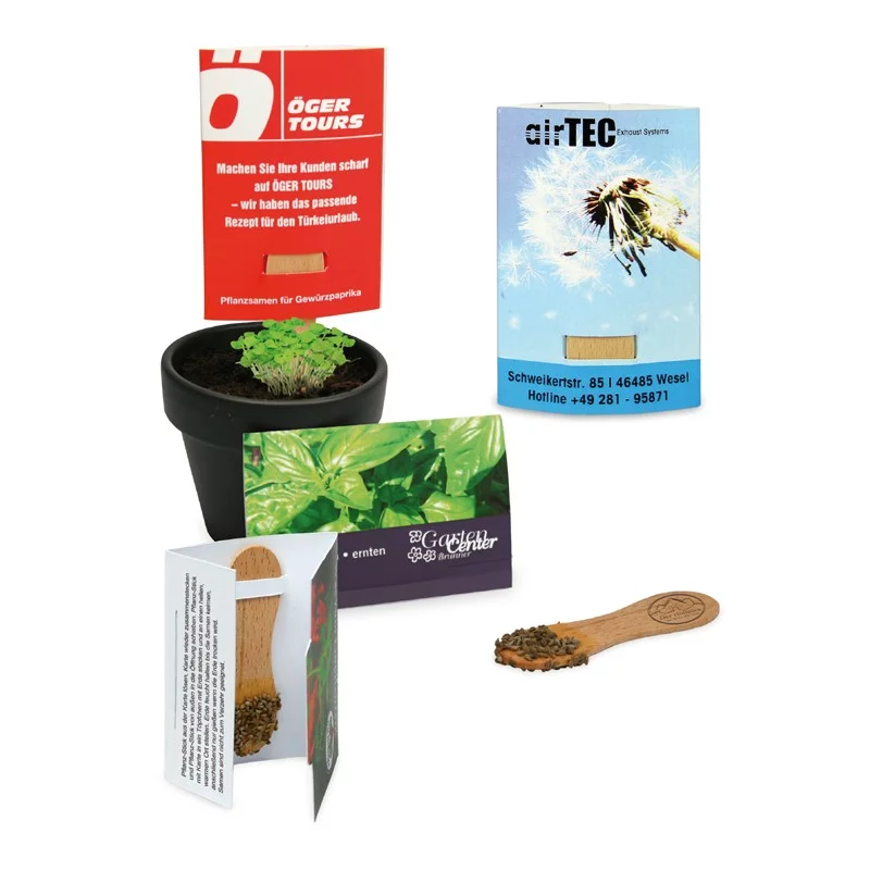 Bâtonnet de graines en bois dans carte-étui – BATOBOIS