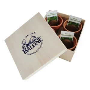 Kit de culture aromatique dans coffret en bois – COFFRET AROMATIQUES BOIS
