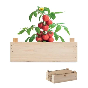 Kit de culture de tomates – TOMATO