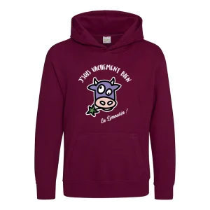Sweat capuche Enfant LIMOUSIN