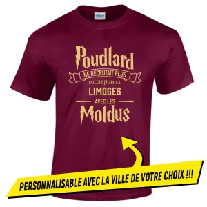 T-shirt POUDLARD