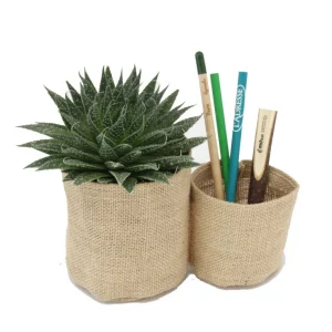 Mini plante et duo de pots en toile de jute – PLANTENTOILE