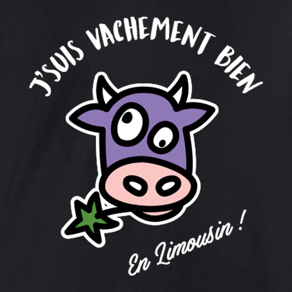 Sweat capuche LIMOUSIN – Image 2