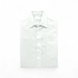 Chemise classique Homme à rayures