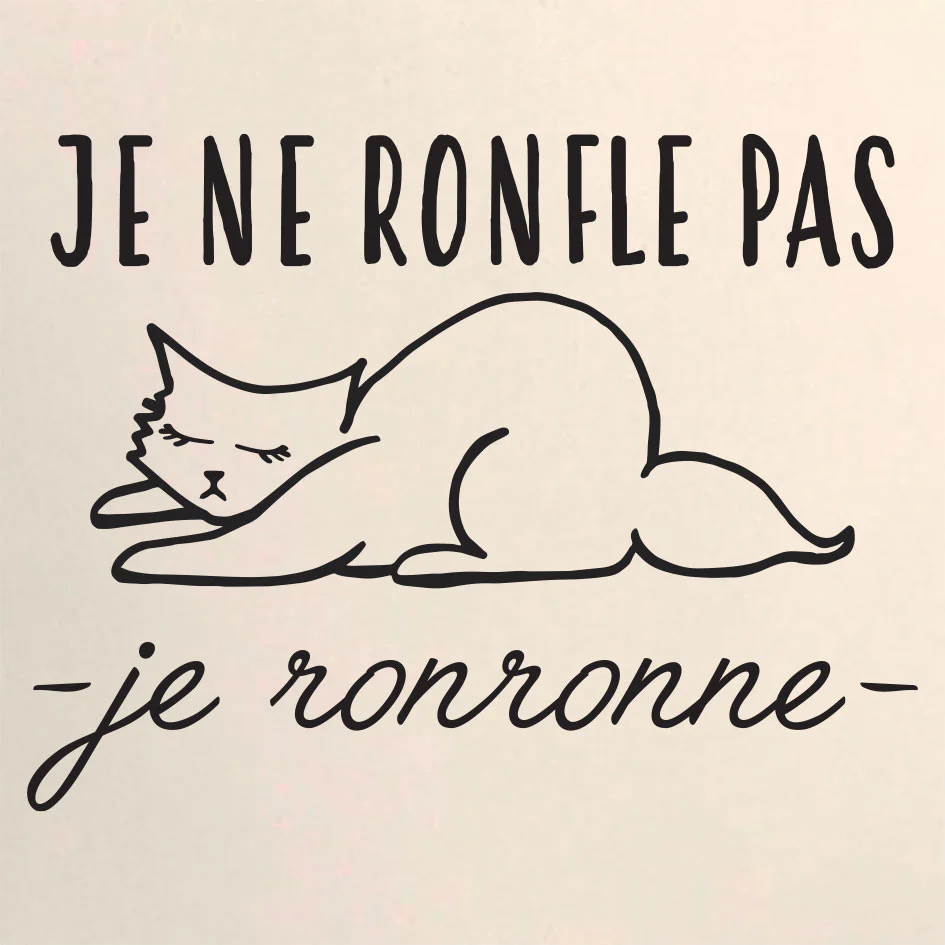 Coussin RONFLE PAS RONRONNE – Image 4