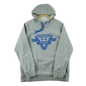 Sweat à capuche Homme  Gris